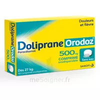 Dolipraneorodoz 500 Mg, Comprimé Orodispersible à MONTAIGUT-SUR-SAVE