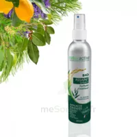 Naturactive Assaini'spray 200ml à MONTAIGUT-SUR-SAVE