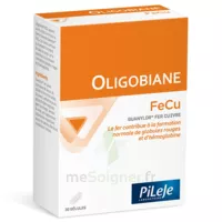 Pileje Oligobiane Fe Cu 90 Gélules à MONTAIGUT-SUR-SAVE